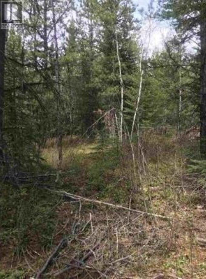 Lot 10 Chief Lake Road, Prince George, British Columbia  V2K 5Z4 - Photo 2 - R2898514