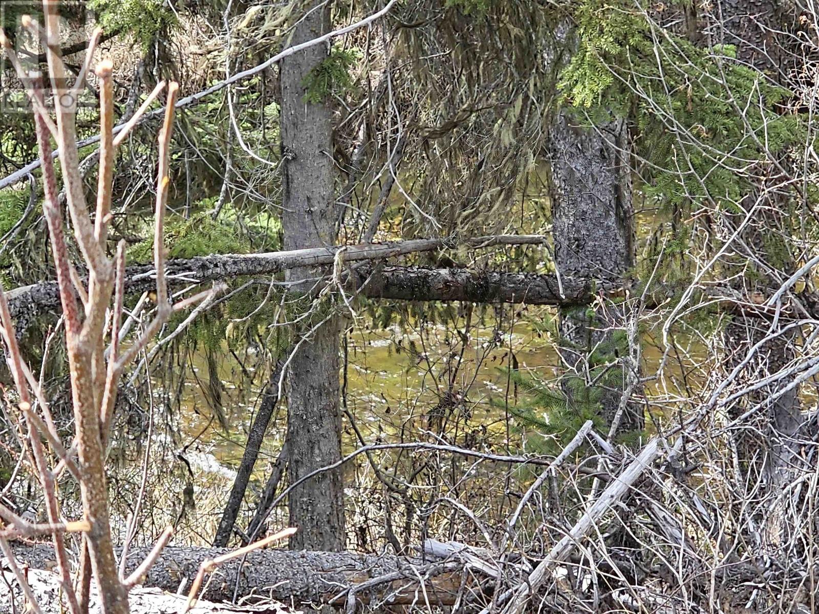 Dl 1967 Willow Cale Forest Service Road, Prince George, British Columbia  V2N 7A8 - Photo 16 - R2955996